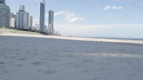 gold coast australia white sand empty beach, real estate buildings oceanfront