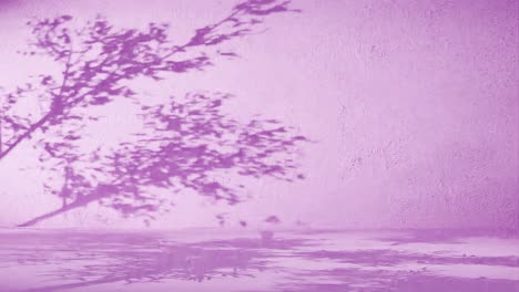 a tree branches shadow on textured pink wall. nature silhouette concept