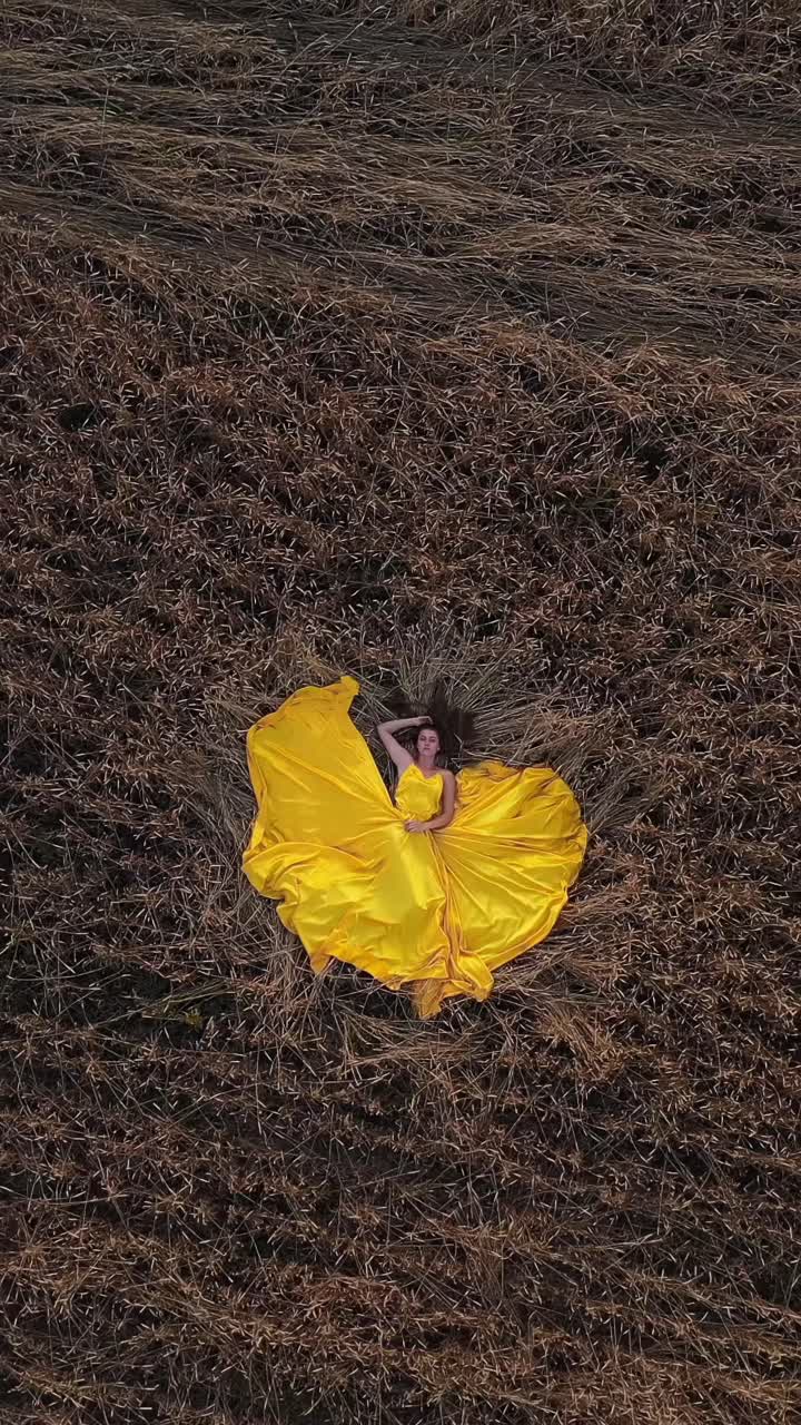 Woman in Yellow Dress in a Field
