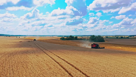 beautiful wheat field. aerial view of combine harvester harvesting wheat