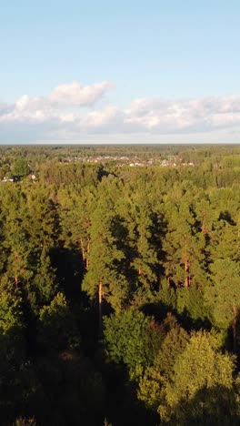 Aerial View of a Lush Green Forest and a Small Village
