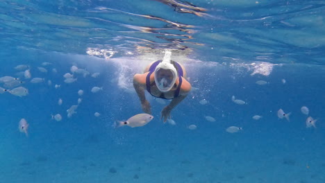 woman swims underwater