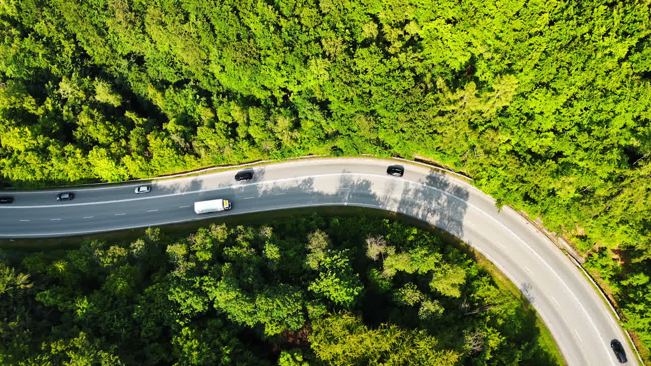 Transport moves by the highway surrounded by the green forest. Top view on the road in the woods.