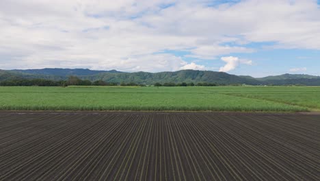 lush green fields under a clear blue sky