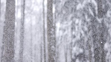 winter landscape during snowfall. winter christmas abstract background on super slow motion.