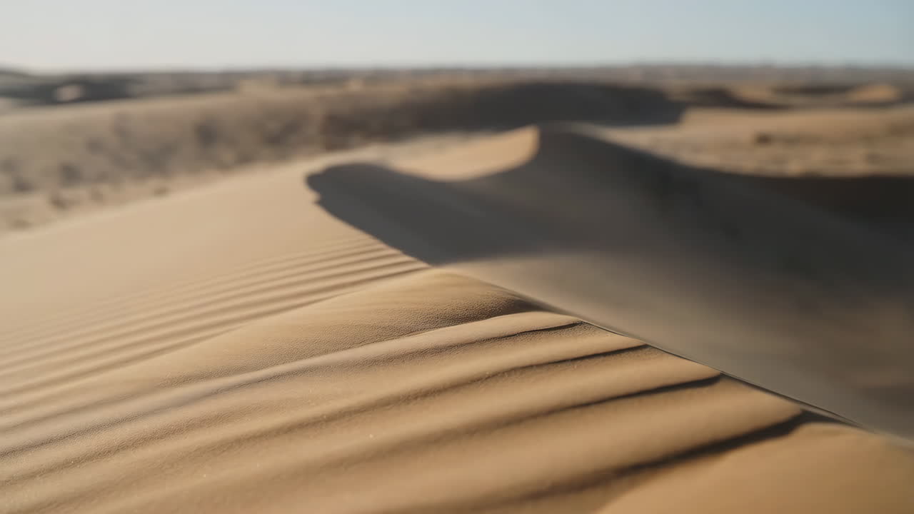 Rippled Sand Dunes in a Desert Landscape