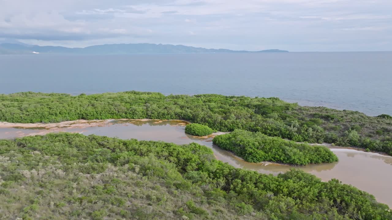 playa de tortuguero con lago y bosque de manglares en la república dominicana isla del caribe