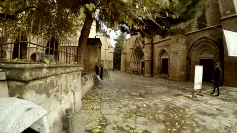 winter nicosia selimiye mosque fallen leaves