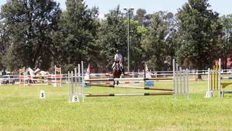 horse and rider navigating a show jumping course