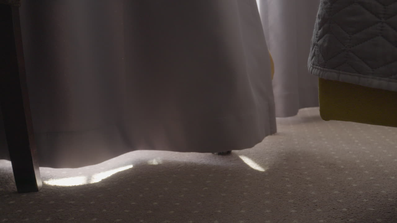 작은 개가 호텔 방의 커튼에  ⁇ 혀있었습니다.