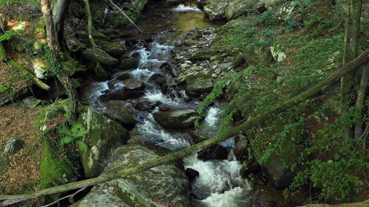 Drone flzing above Mountain river, rocks and boulders in forest, Bistriski Vintgar gorge on Pohorje, Slovenia, hiking and outdoor tourism landmark, ecology clean water concept, natural resources