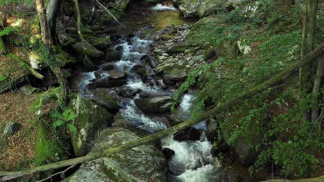 drone volando sobre el río de montaña, rocas y cantos rodados en el bosque, bistriski vintgar gorge en pohorje, eslovenia, senderismo y turismo al aire libre, concepto ecológico de agua limpia, recursos naturales