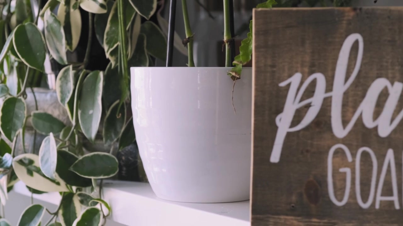 Sliding shot of a beautiful nature inspired home decor.