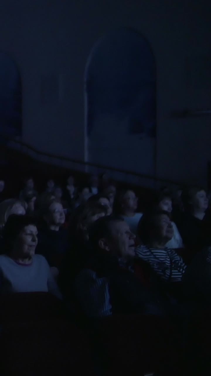 Pubblico che guarda uno spettacolo a teatro