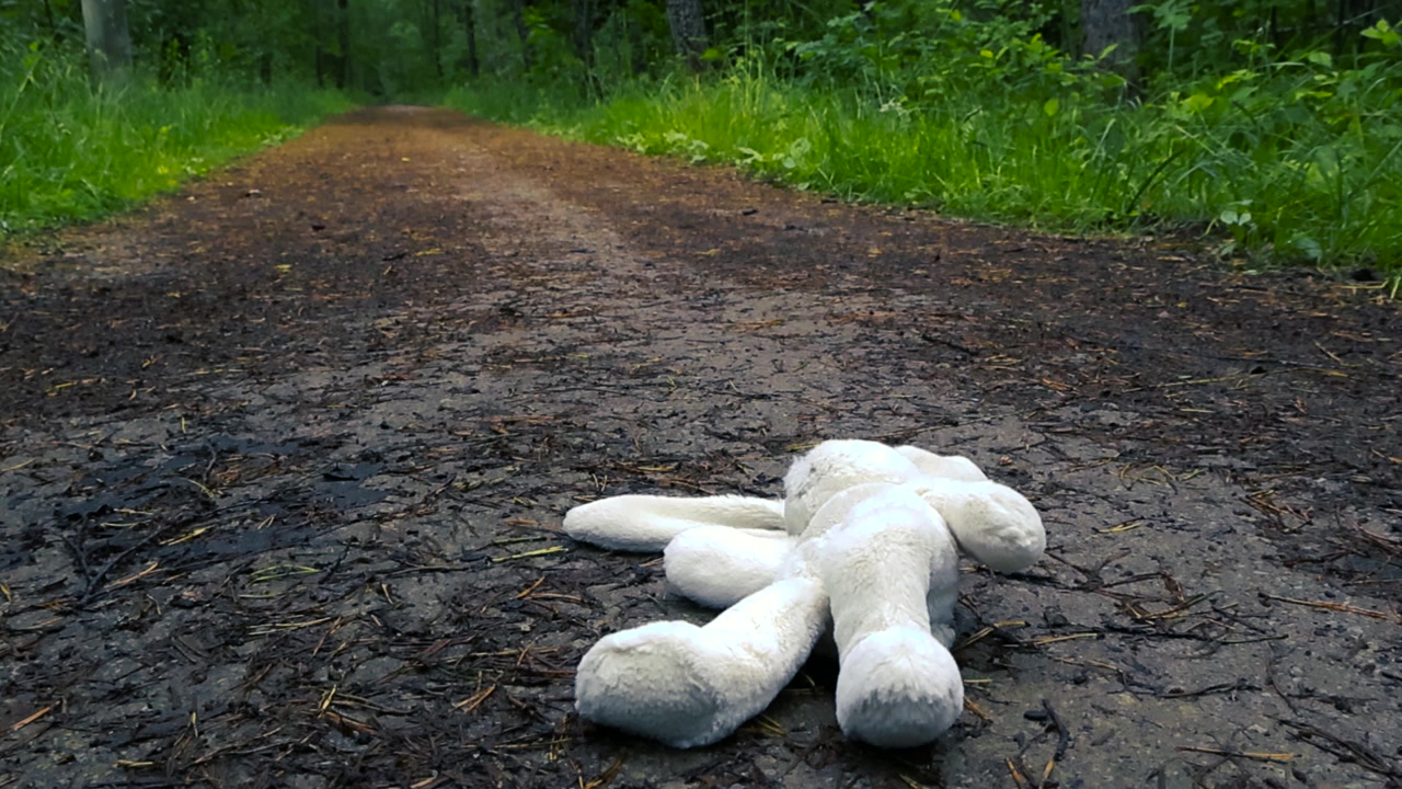 Brinquedo de coelho de pelúcia branco esquecido, abandonado em um caminho molhado e lamacento no meio de uma floresta, simbolizando solidão, infância perdida, tristeza e memórias esquecidas