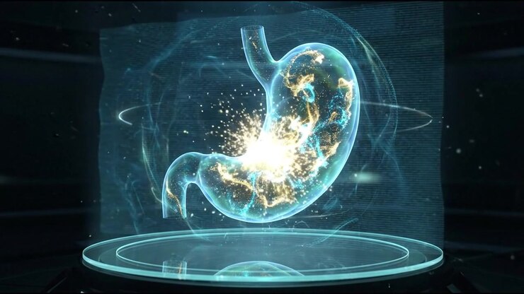 Human stomach gastric cavity 3D organ hologram render