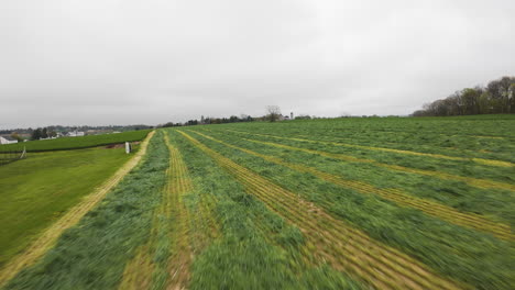 FPV-Sobre-Campos-Agrícolas-De-Corte-Verde-Durante-Un-Día-Nublado-En-Estados-Unidos