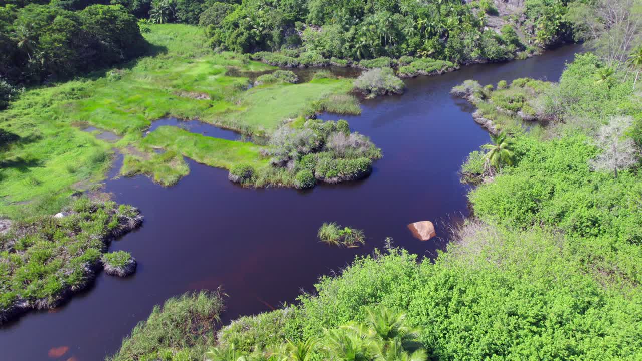 Drone footage of the Police bay mangrove, Mahe Seychelles, 30fps 2