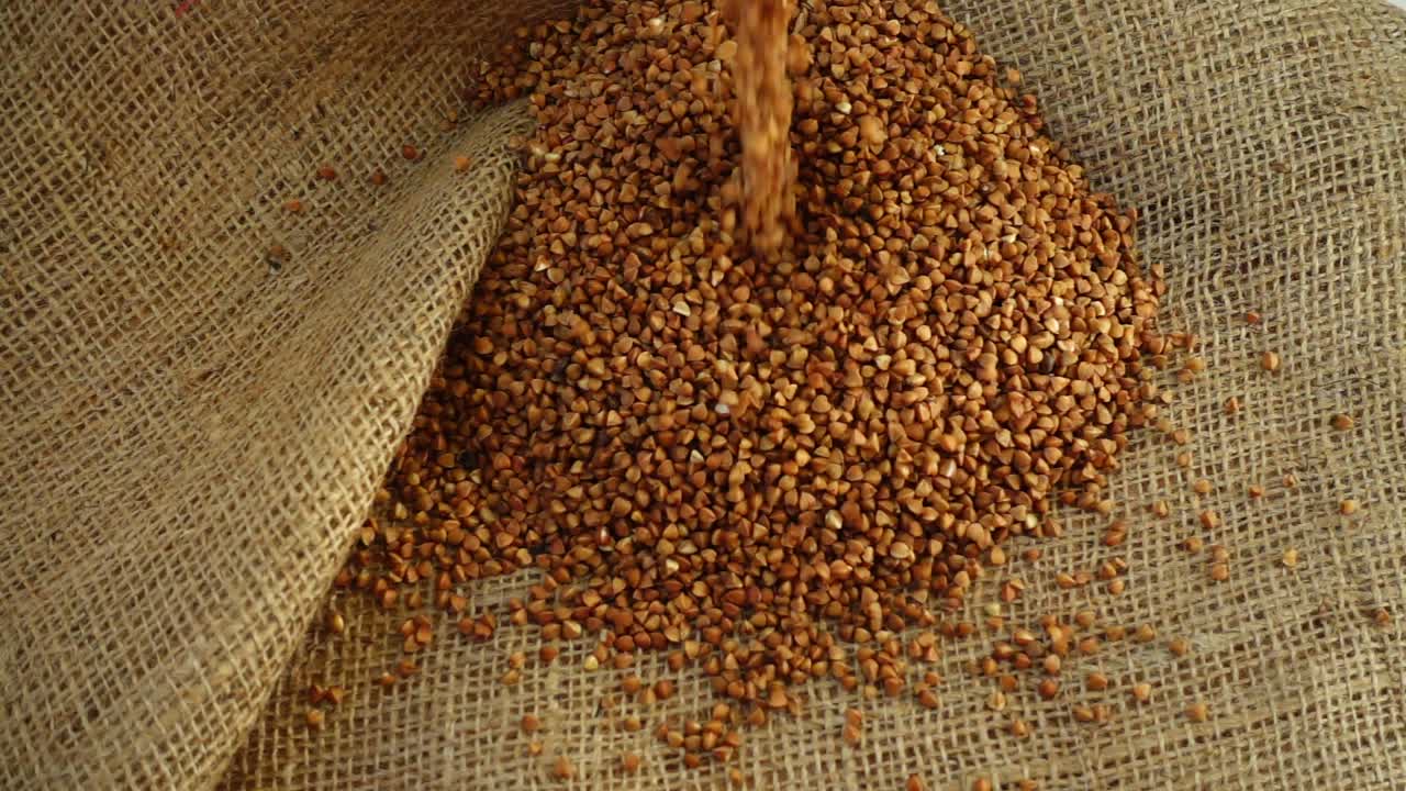 Buchweizen gießt auf Jute. Zeitlupe