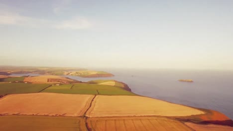 Drone-footage-of-golden-fields-