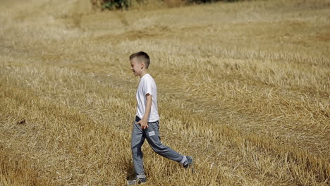 little boy in field. beautiful boy walking in a field with straw