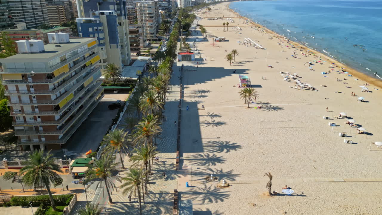Vista aerea da drone di persone che passeggiano su una passeggiata fiancheggiata da palme vicino alla spiaggia di Alicante, Spagna