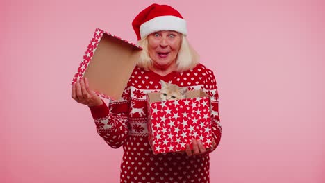 grandmother in christmas sweater smiling, unwrapping gift, opening box with pet cat, great surprise
