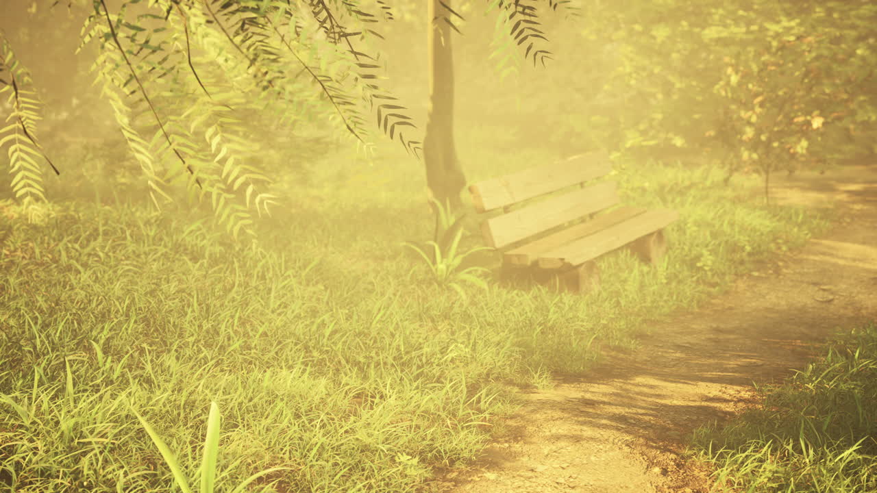 hermoso banco en el parque en el día soleado de primavera