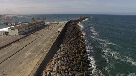 gaviotas volando sobre el muelle y el mar