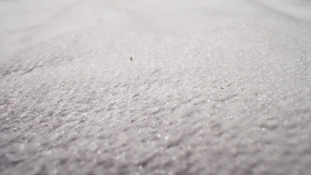 밝은 빛에서 가까이에서 볼 수 있는 반 ⁇ 이는 가닥이 있는  ⁇ 색 직물