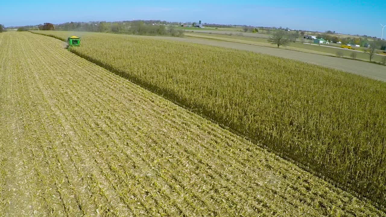 excelente antena sobre una granja americana rural con cosechadora de maíz en el trabajo en los campos 1