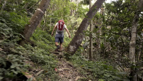 man hiking in jungle