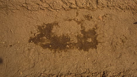 Dew-drying-from-the-soil-as-the-sun-crosses-the-sky-then-shadows-as-the-sun-sets---time-lapse