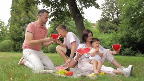 happy mother father and two cute sons eating fruits on picnic at summer park happy mother father and two cute sons eating fruits on picnic at summer park high quality footage