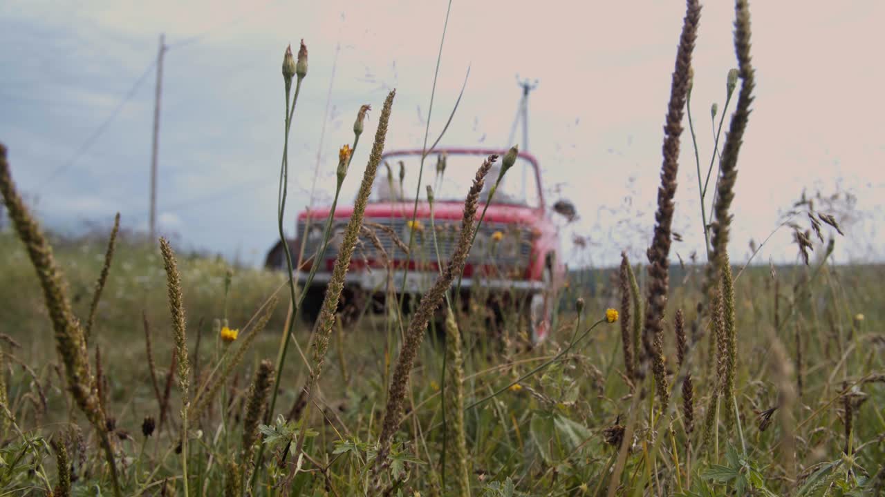Red Car in a Field