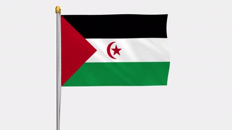 loop video of the sahrawi arab democratic republic flag  fluttering in the wind, slow motion video of 4k , with alpha channel