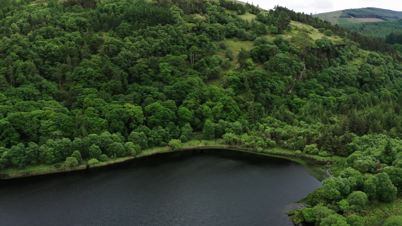 Aerial View of a Serene Lake Surrounded by Lush Green Forest