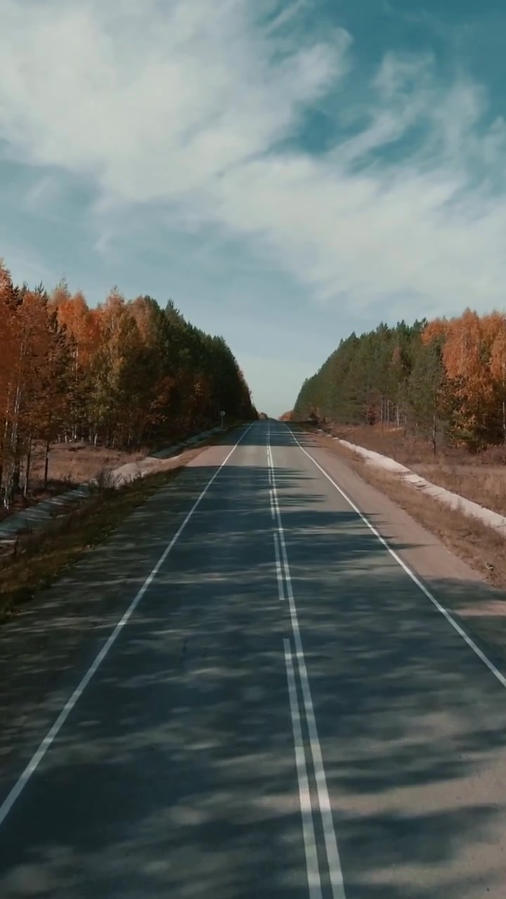 Vista aerea frontale di un'autostrada vuota a due corsie che si estende in lontananza, fiancheggiata da una colorata foresta autunnale sotto un cielo blu, ideale per temi di viaggio e trasporto.