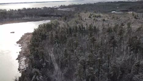 árboles-Cubiertos-De-Nieve-Fresca-Aérea-Por-El-Río