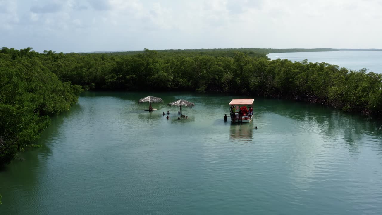dolly en toma aérea de drones de los lugareños disfrutando de una pequeña piscina turquesa natural aislada con una ramificación de paraguas de paja desde el río curimataú cerca de barra de cunhaú en rio grande do norte, brasil