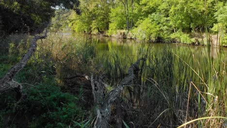 Drone-take-off-from-bushes-and-shot-low-over-the-river