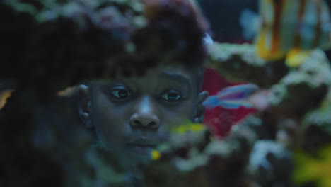 black girl looking at fish in aquarium curious child watching colorful sea life swimming in tank learning about marine animals in underwater ecosystem inquisitive kid at oceanarium