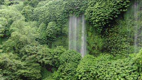 aerial ascending drone shot showing a majestic rainforest with a waterfall, curtain of water flowing down on rocks