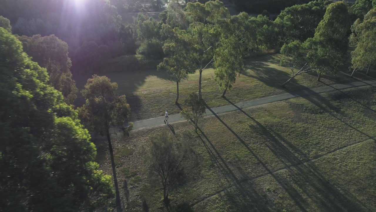 Wide drone footage of jogger running left to right in late afternoon sun in a park amongst eucalyptus trees, with sun flares