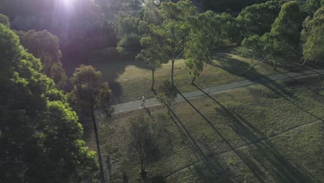 在<unk>樹中間的公園中,在下午晚些时候,跑步者從左到右跑步的無人機片段,