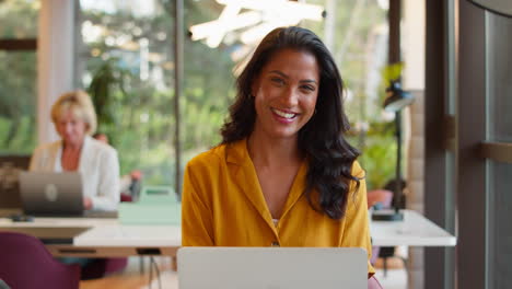 Portrait-Of-Smiling-Mature-Businesswoman-Working-On-Laptop-At-Desk-In-Office