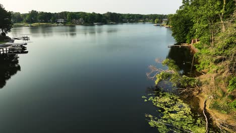 panning around a marshy area of a lakefront