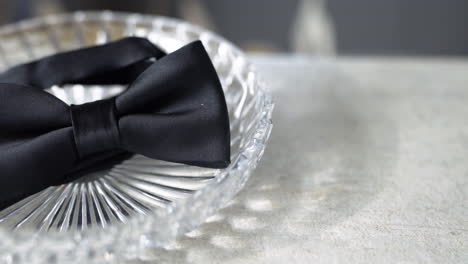 close-up of black fly in glass container