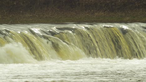 Vimba-fish-in-Kuldiga,-medium-shot-from-the-distance