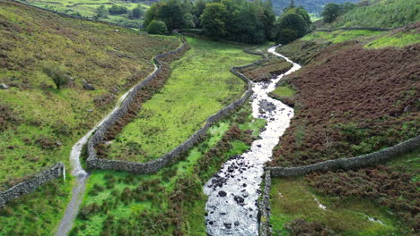 aerial footage following stream through agricultural grazing land